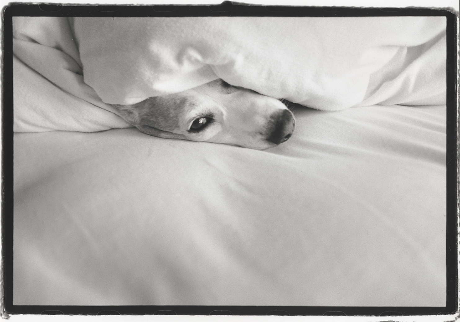 Simon, missing his family, RC paper